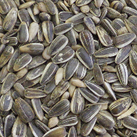 Striped Black Sunflower Seeds